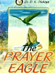 the prayer eagle